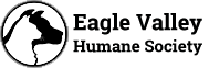 Main Logo